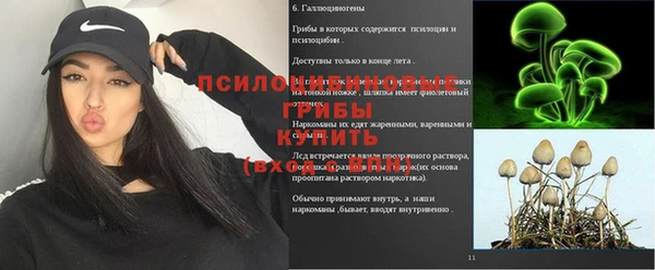 ешки Армянск
