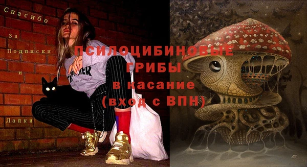 дживик Арсеньев
