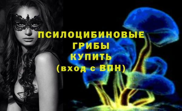 ешки Армянск